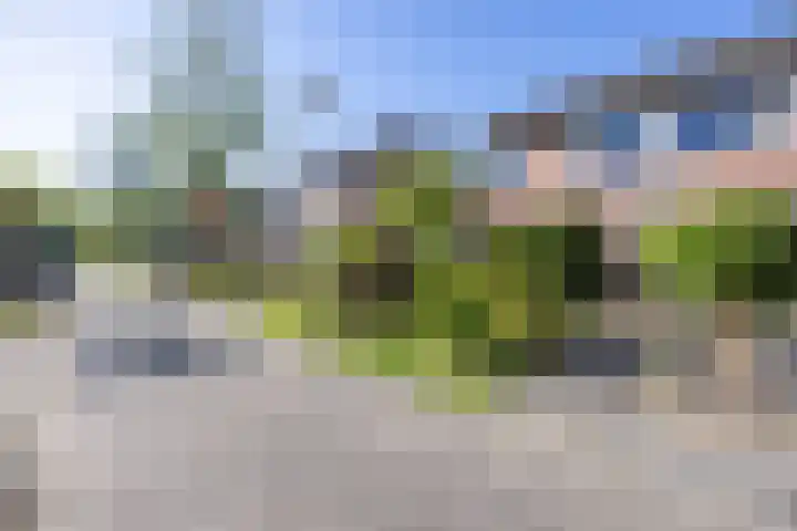 Hinnemanskamp 10 Enschede thumbnail 8