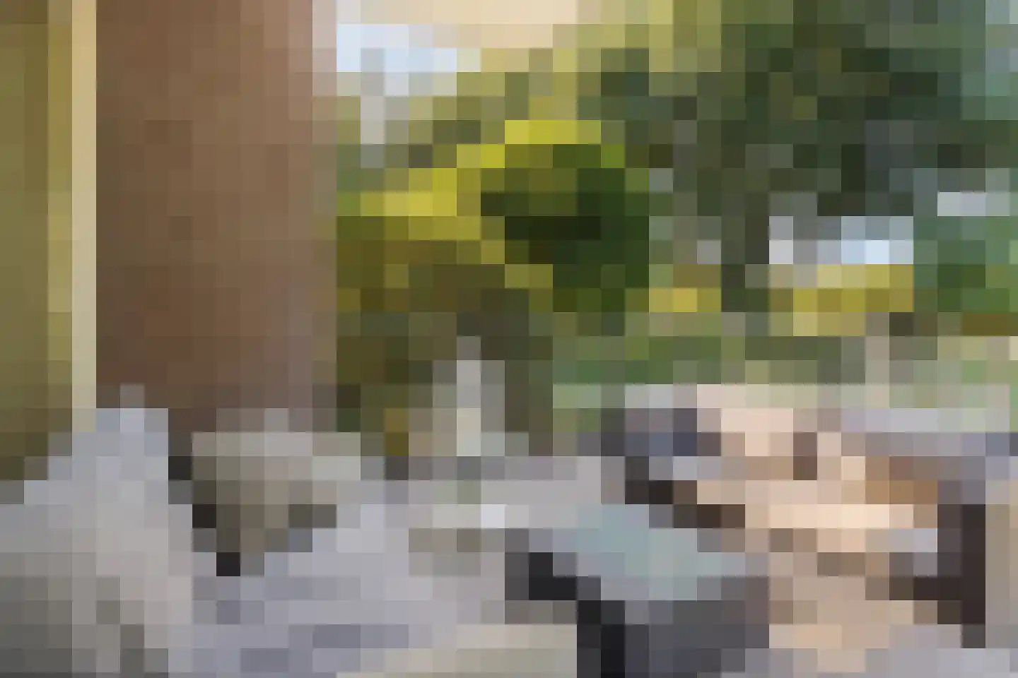 Hinsbeckerweg 17 Venlo thumbnail 15