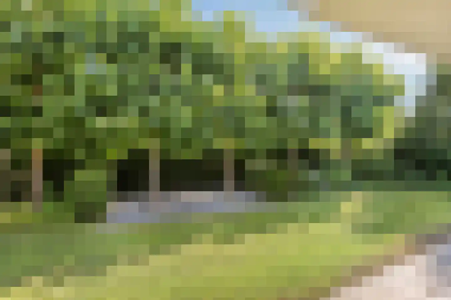Hinsbeckerweg 17 Venlo thumbnail 21