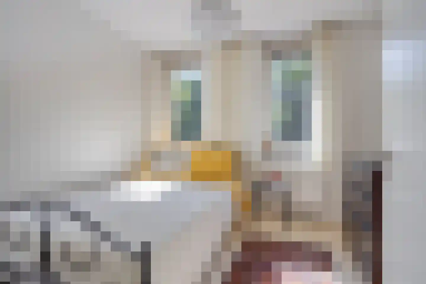 Hinsbeckerweg 17 Venlo thumbnail 37