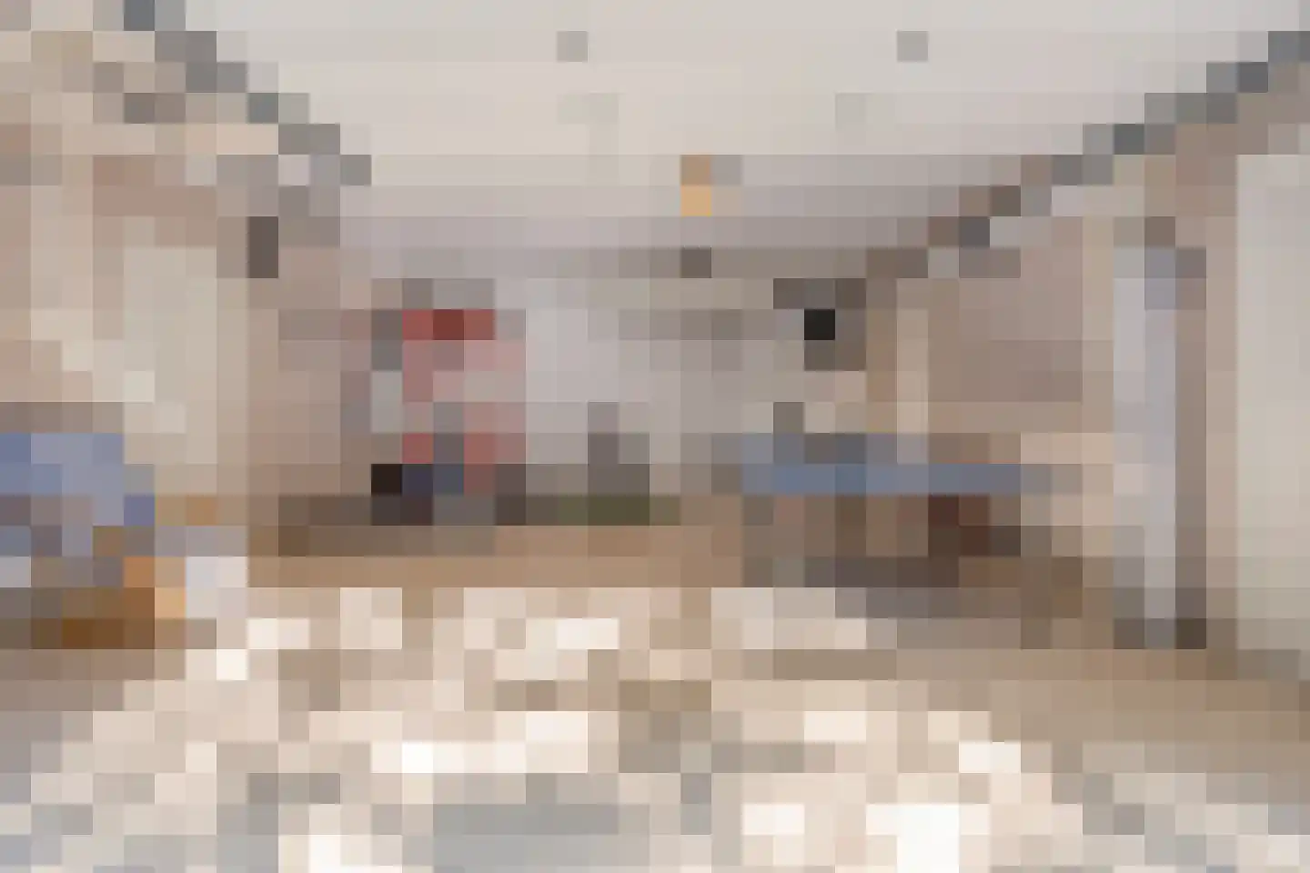 Hinsbeckerweg 17 Venlo thumbnail 39