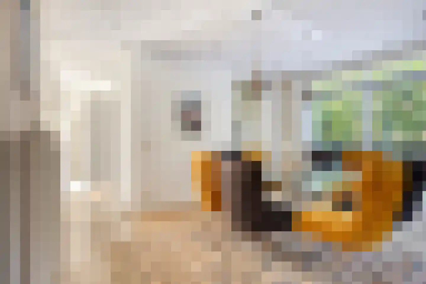 Hinsbeckerweg 17 Venlo thumbnail 9