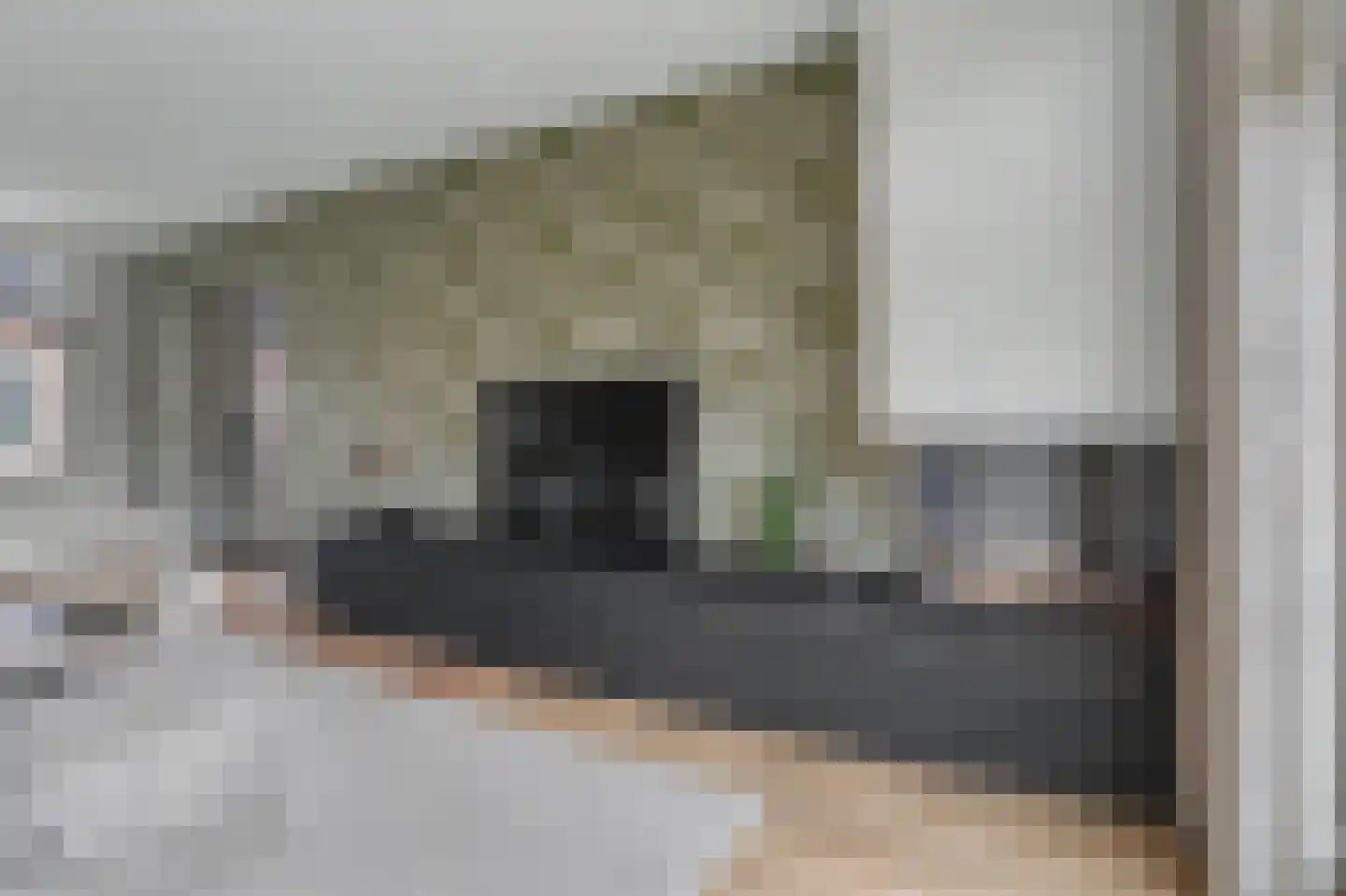 Hint 27 Eersel thumbnail 10