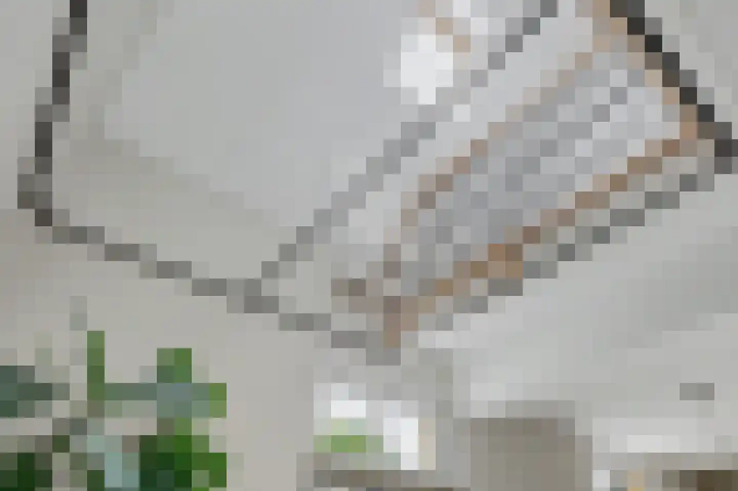 Hint 27 Eersel thumbnail 13
