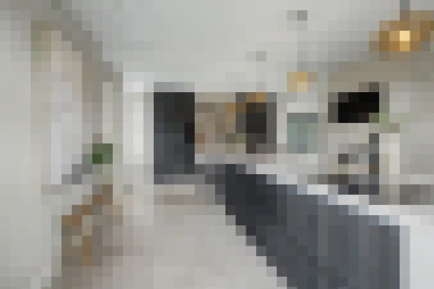 Hint 27 Eersel thumbnail 16