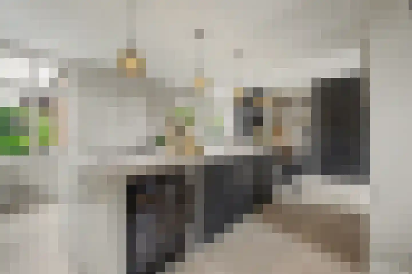 Hint 27 Eersel thumbnail 17