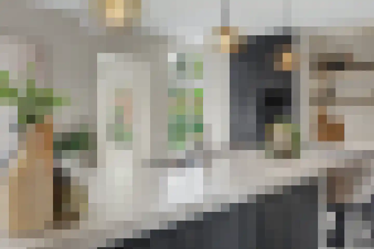 Hint 27 Eersel thumbnail 18