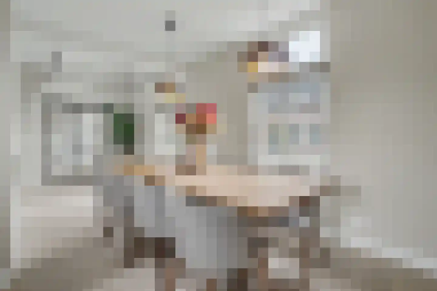 Hint 27 Eersel thumbnail 22