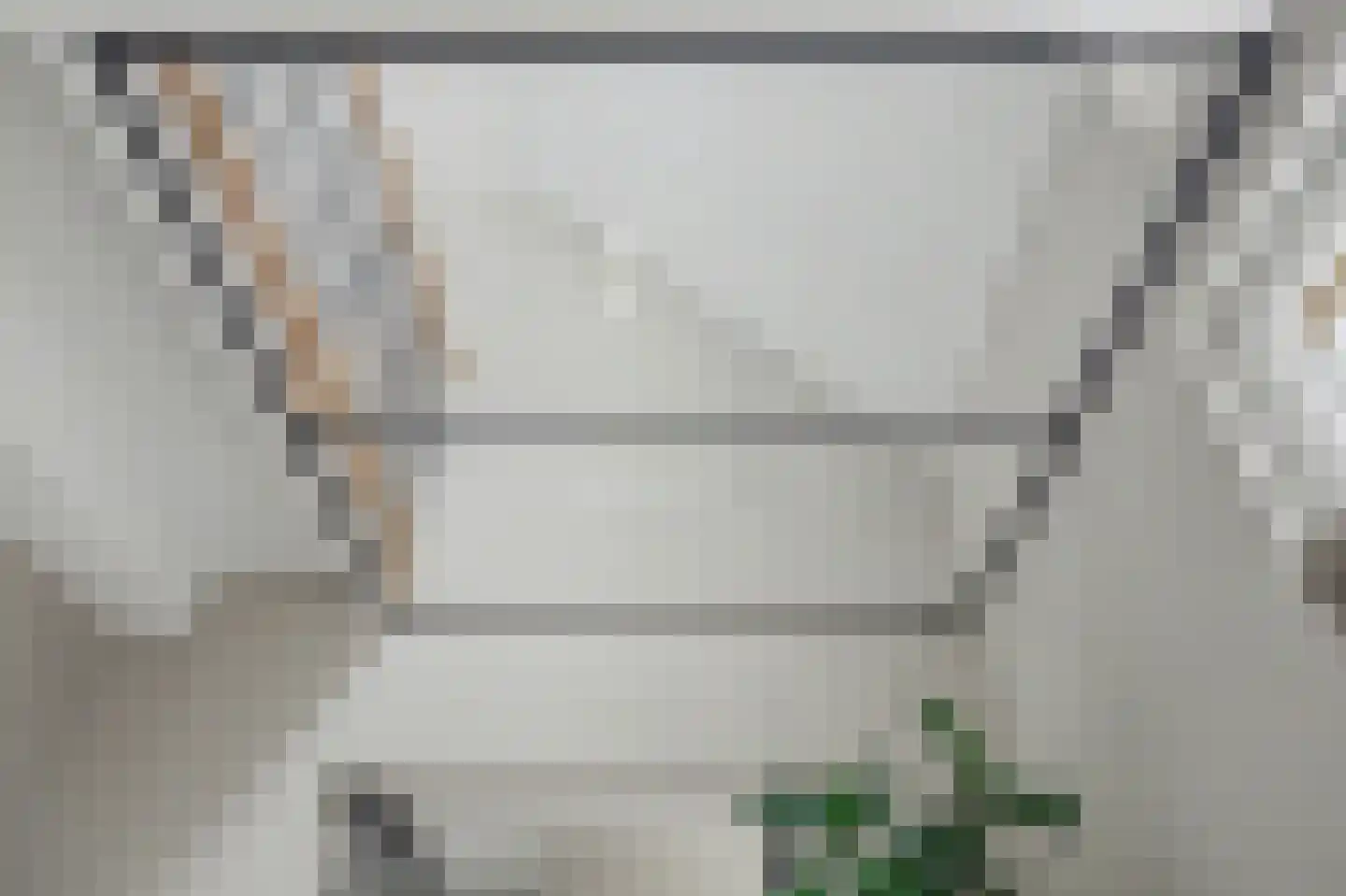Hint 27 Eersel thumbnail 23