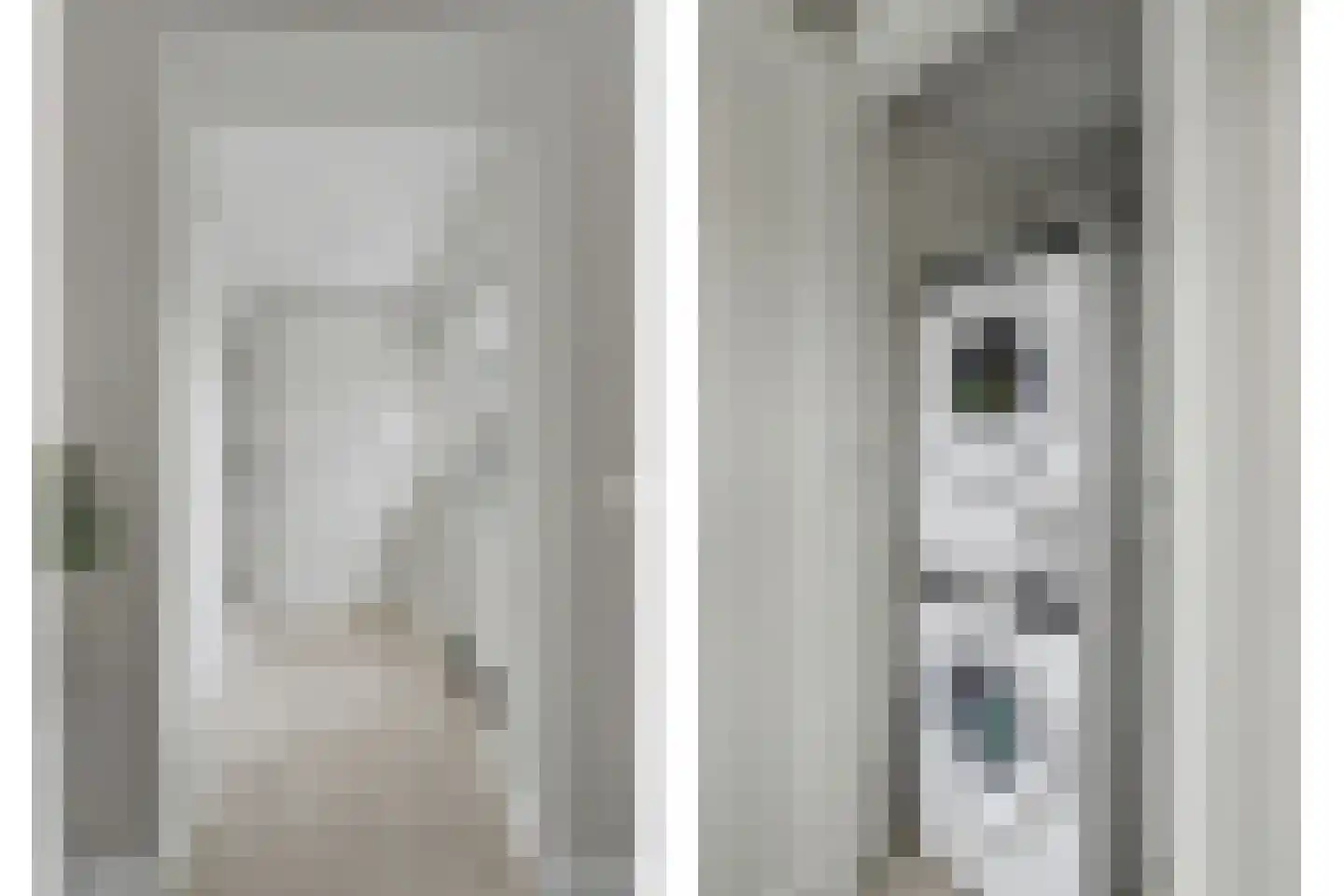 Hint 27 Eersel thumbnail 25