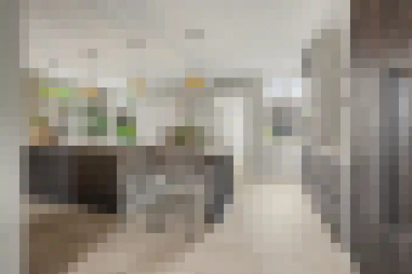 Hint 27 Eersel foto 3