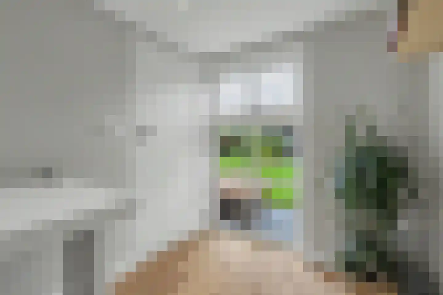 Hint 27 Eersel thumbnail 31
