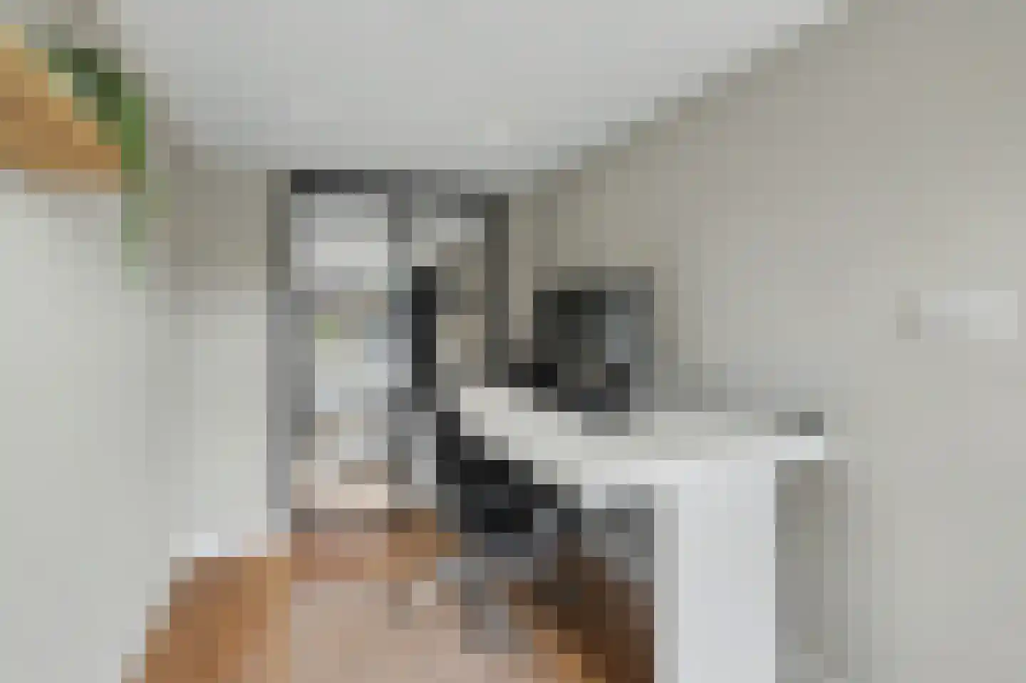 Hint 27 Eersel thumbnail 32