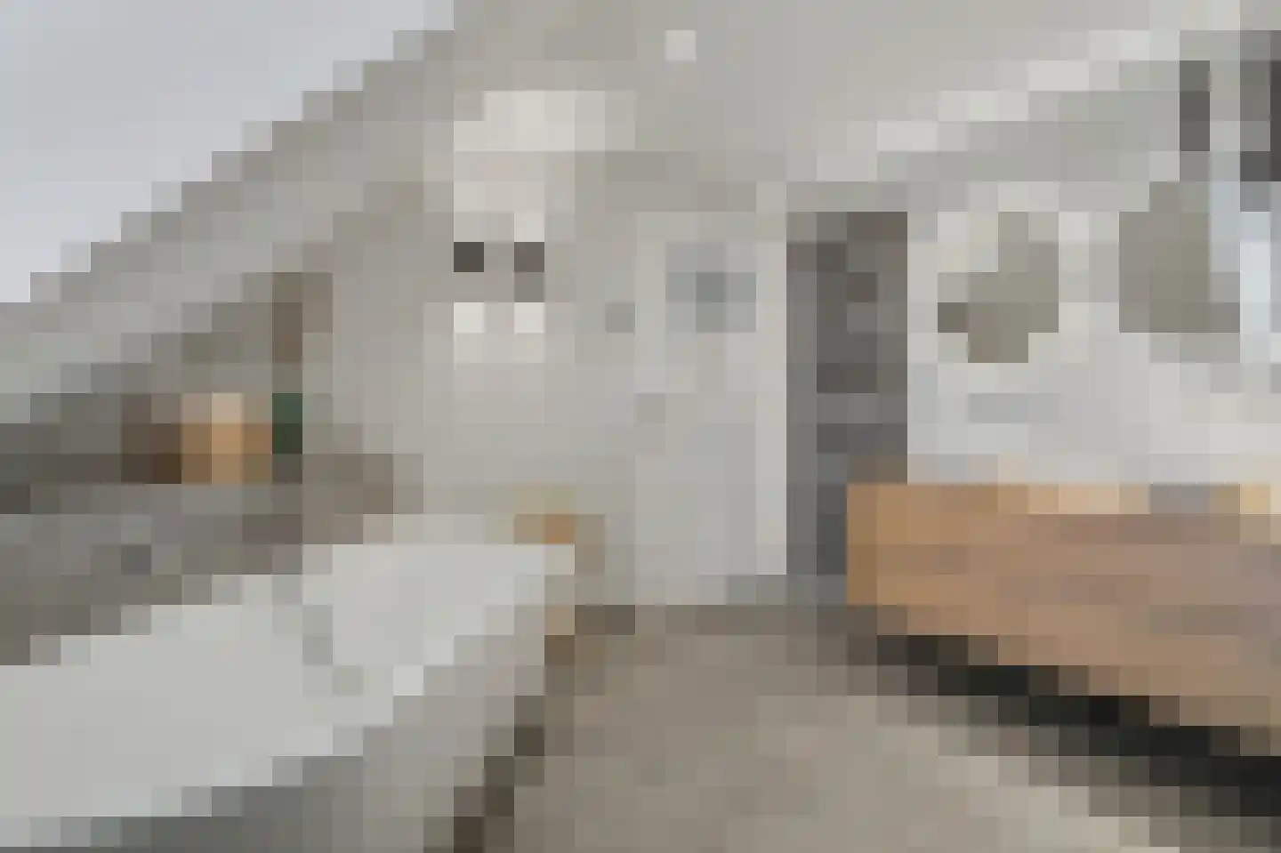 Hint 27 Eersel thumbnail 37