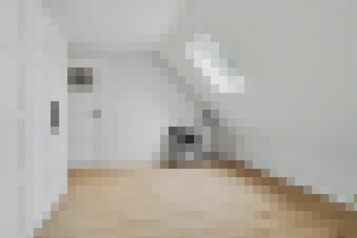 Hint 27 Eersel thumbnail 43