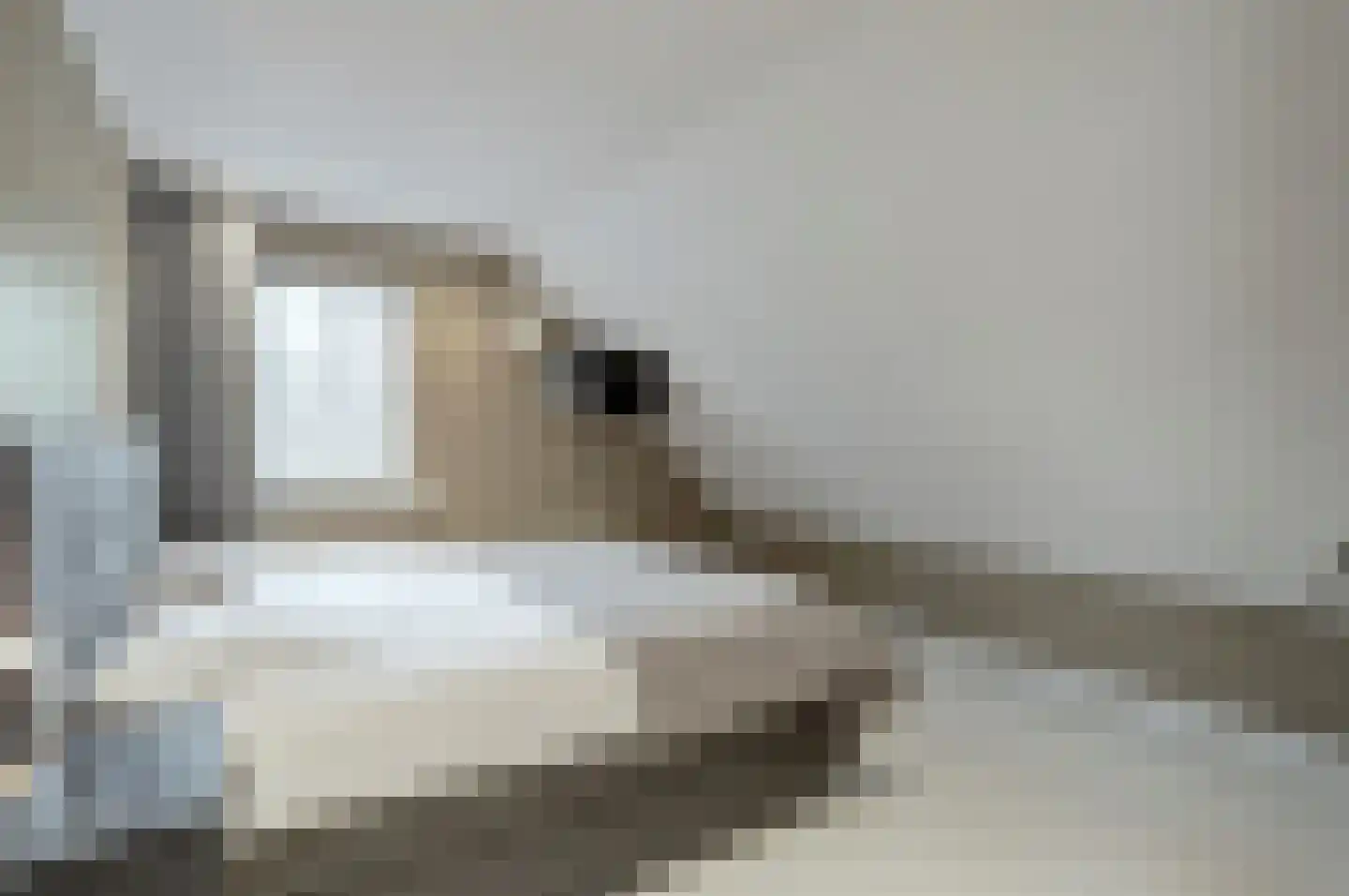 Hint 27 Eersel thumbnail 45