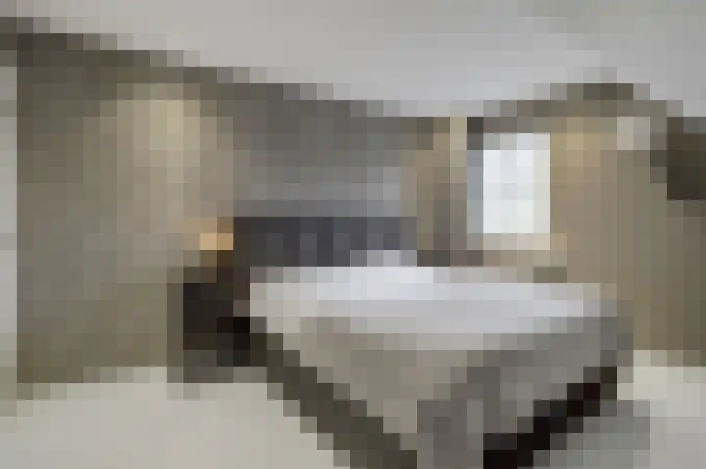 Hint 27 Eersel thumbnail 46
