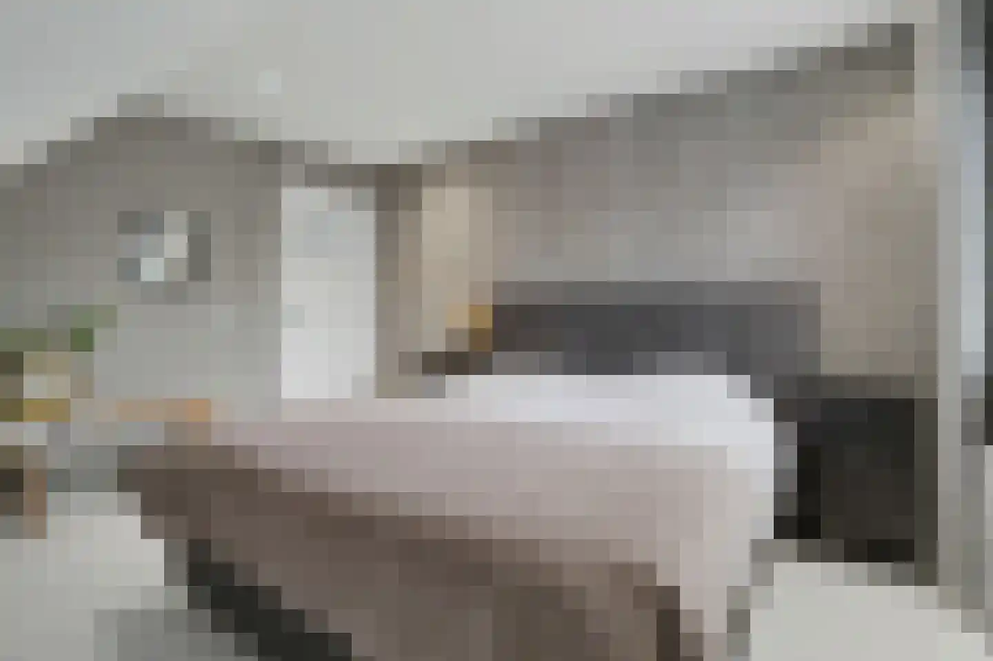 Hint 27 Eersel thumbnail 47