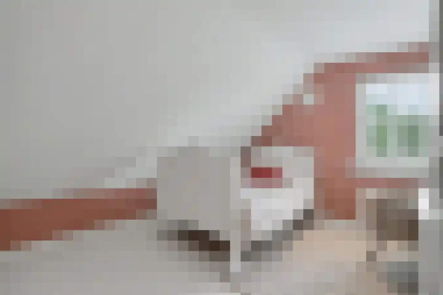 Hint 27 Eersel thumbnail 50