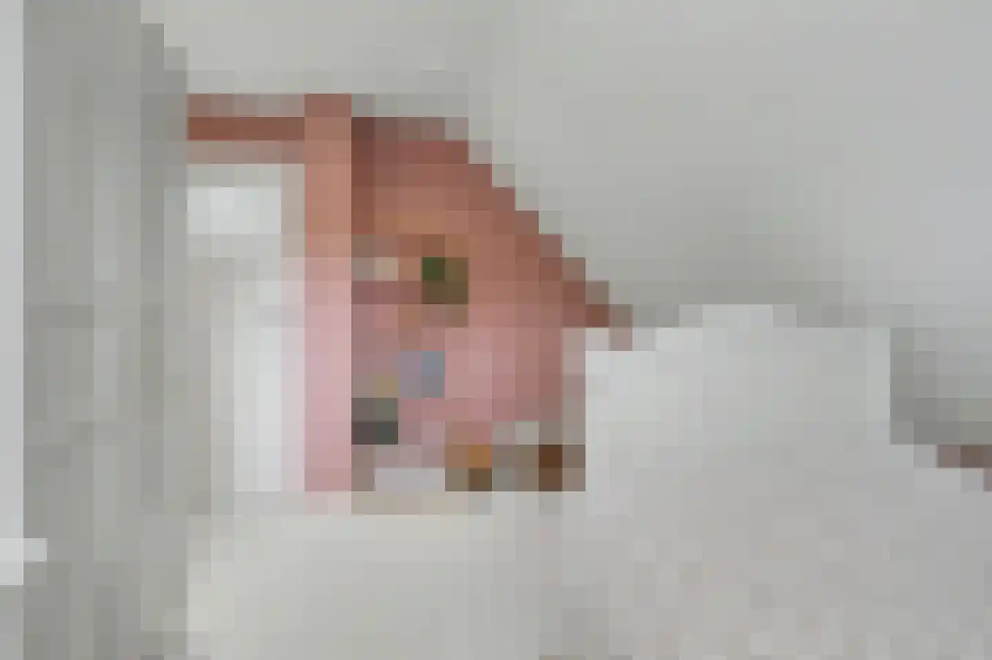 Hint 27 Eersel thumbnail 51