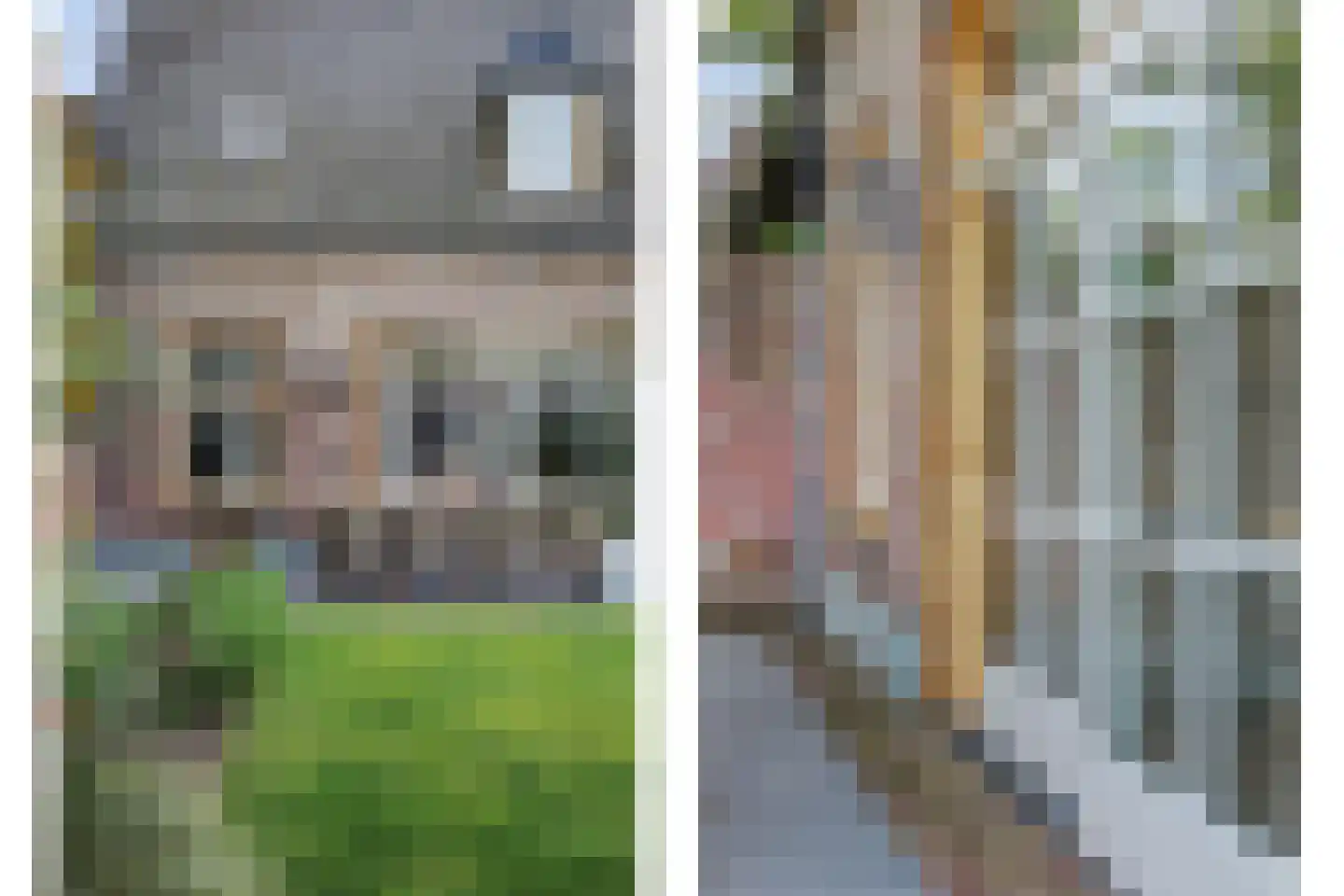 Hint 27 Eersel thumbnail 57
