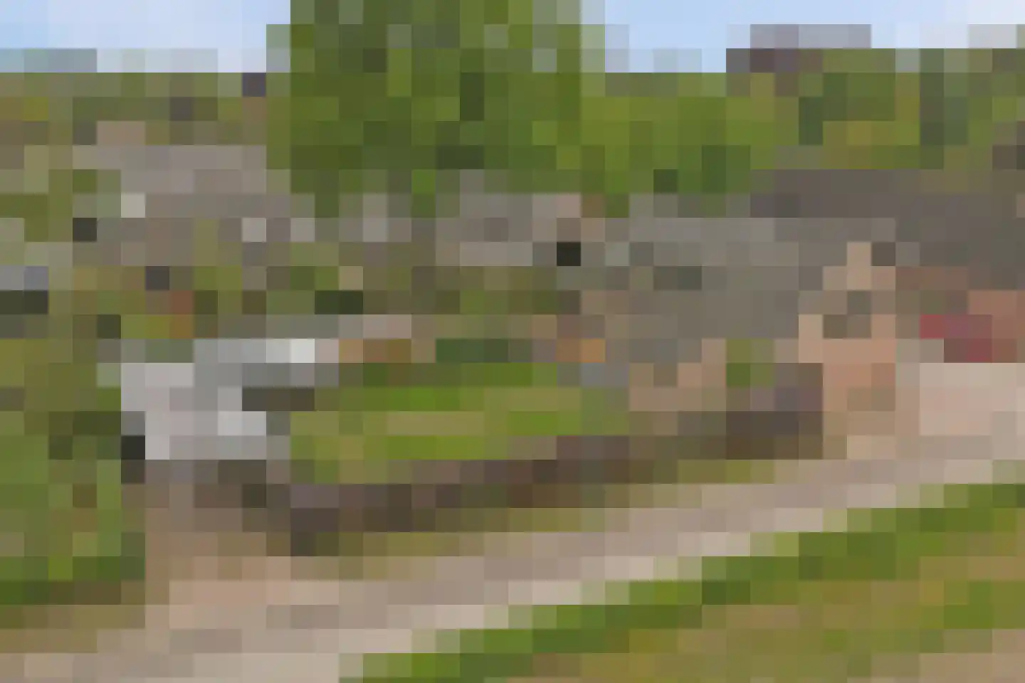 Hint 27 Eersel thumbnail 67
