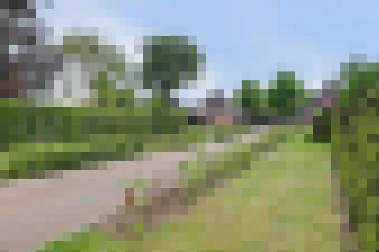 Hint 27 Eersel thumbnail 68
