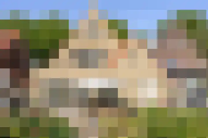 Hintham 109 Rosmalen thumbnail 32