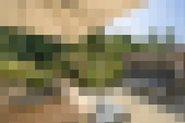 Hintham 109 Rosmalen thumbnail 33