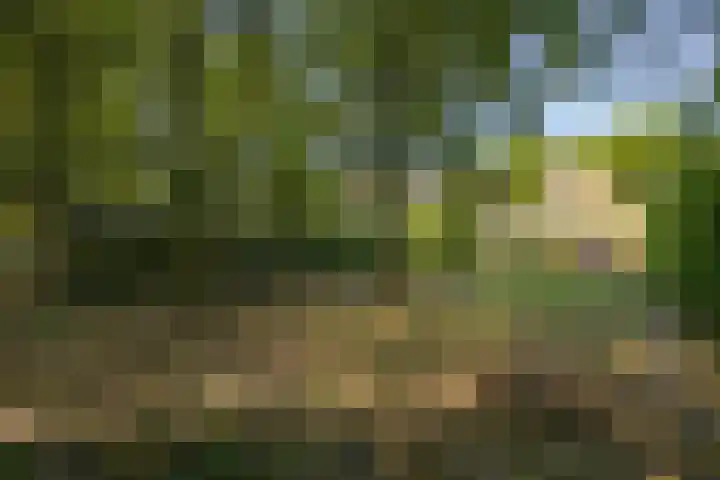 Hintham 109 Rosmalen thumbnail 35
