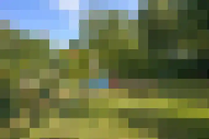 Hintham 109 Rosmalen thumbnail 36