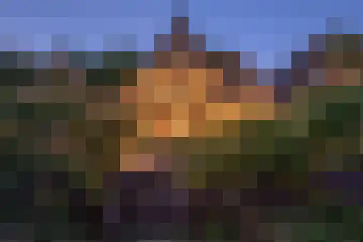 Hintham 109 Rosmalen thumbnail 4