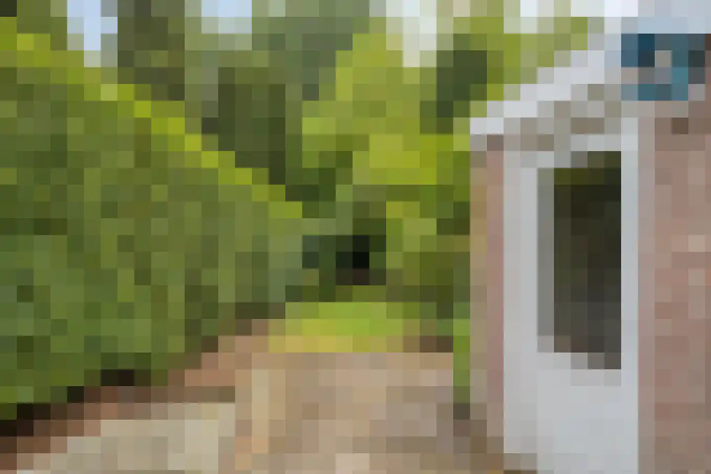 Hintham 113 Rosmalen thumbnail 31