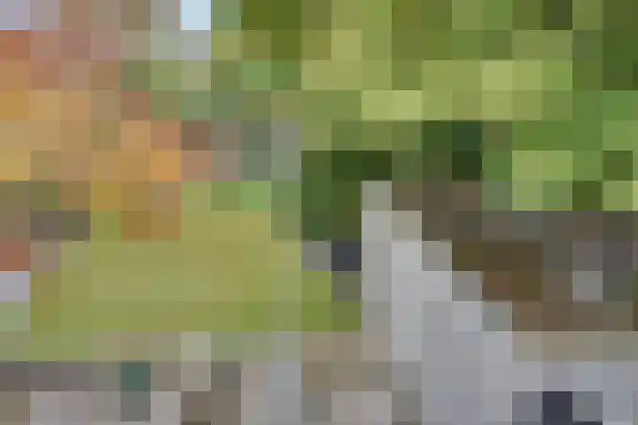 Hintham 130 Rosmalen thumbnail 30