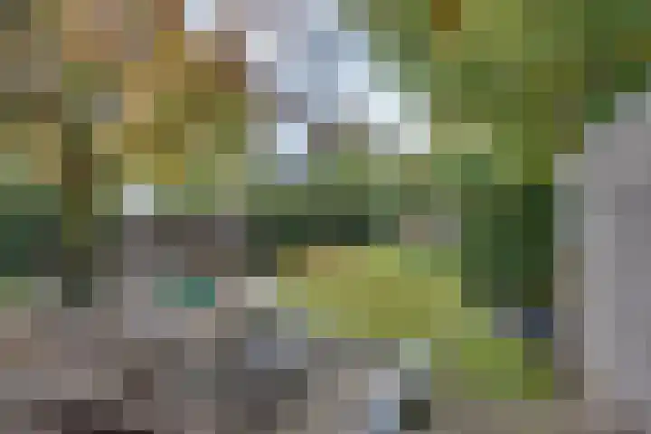 Hintham 130 Rosmalen thumbnail 34