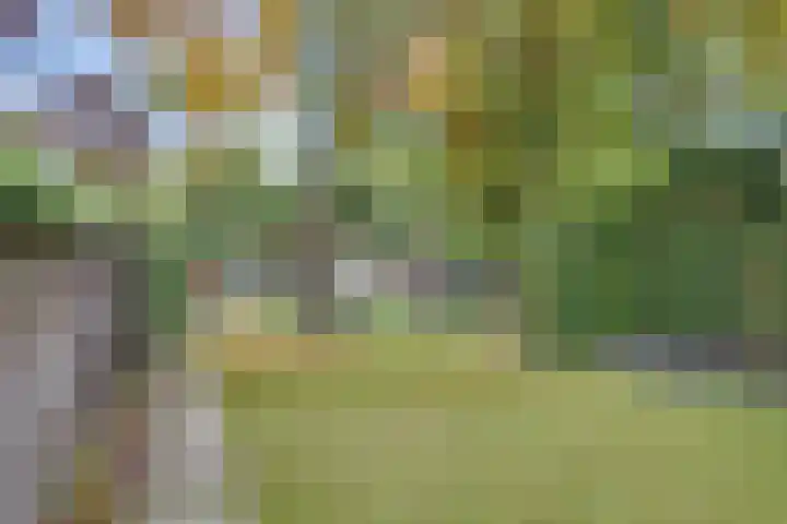 Hintham 130 Rosmalen thumbnail 35