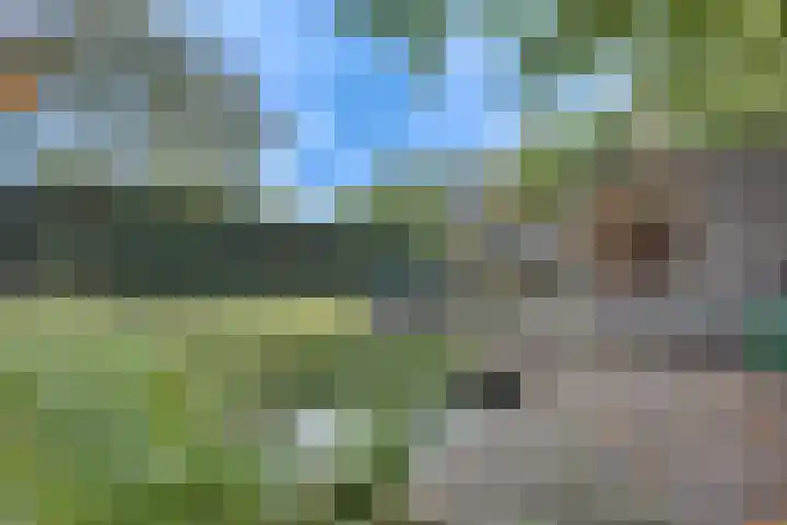 Hintham 130 Rosmalen thumbnail 37