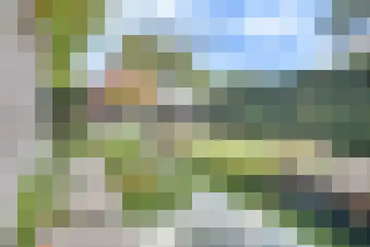Hintham 130 Rosmalen thumbnail 50