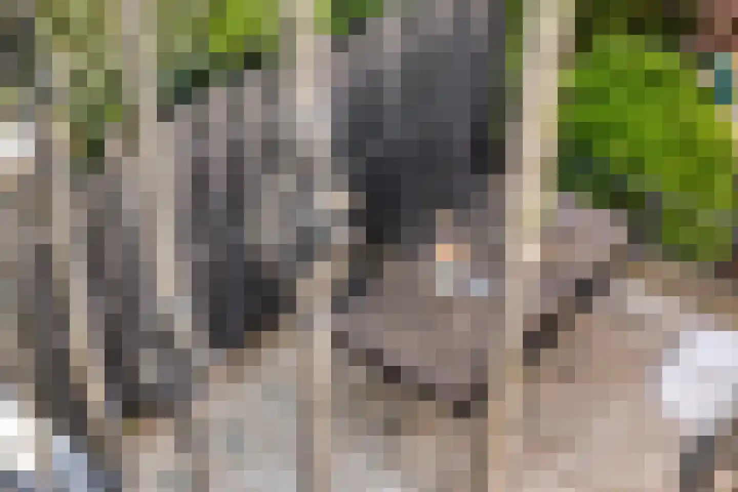 Hintham 140 Rosmalen thumbnail 37