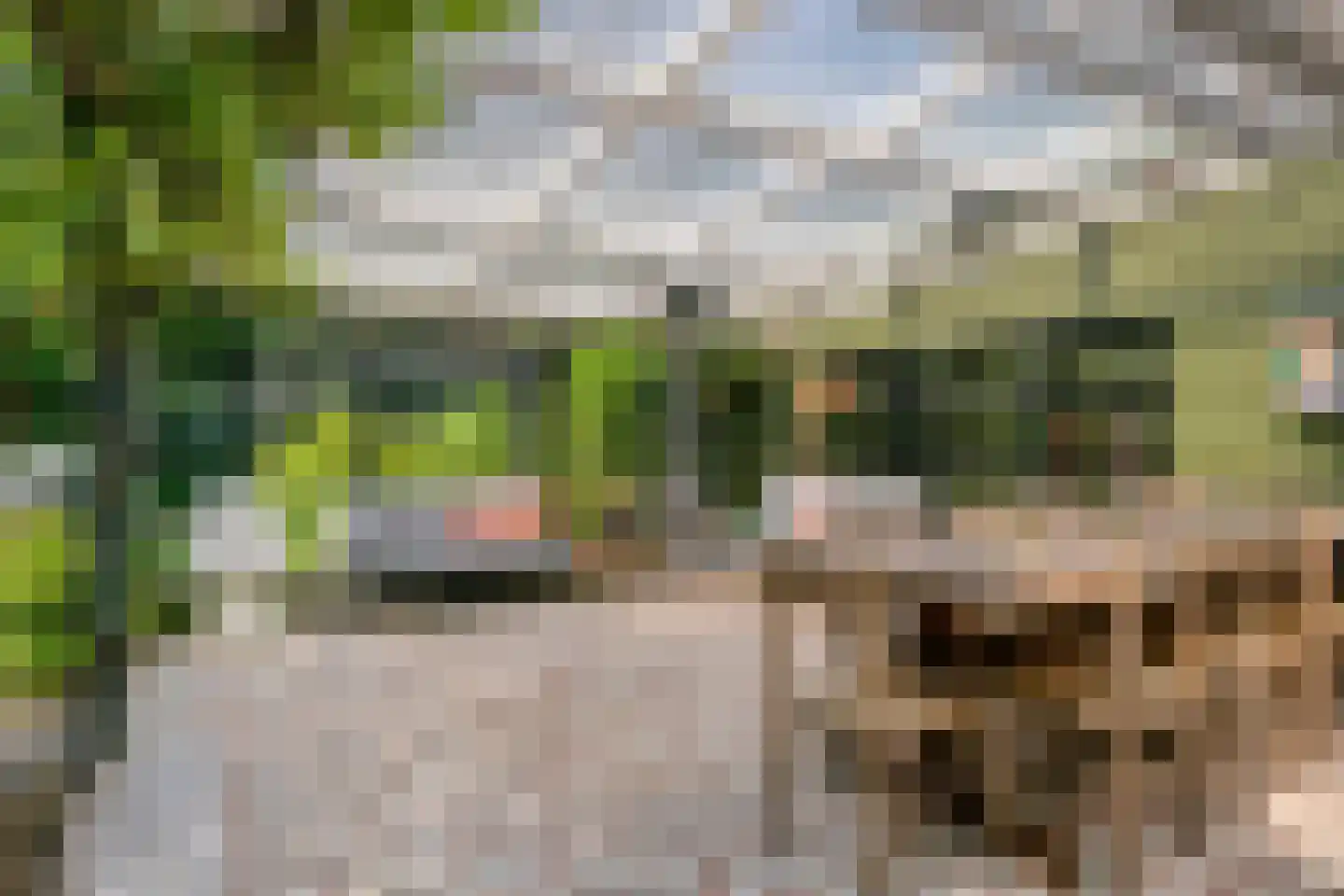 Hintham 140 Rosmalen thumbnail 5