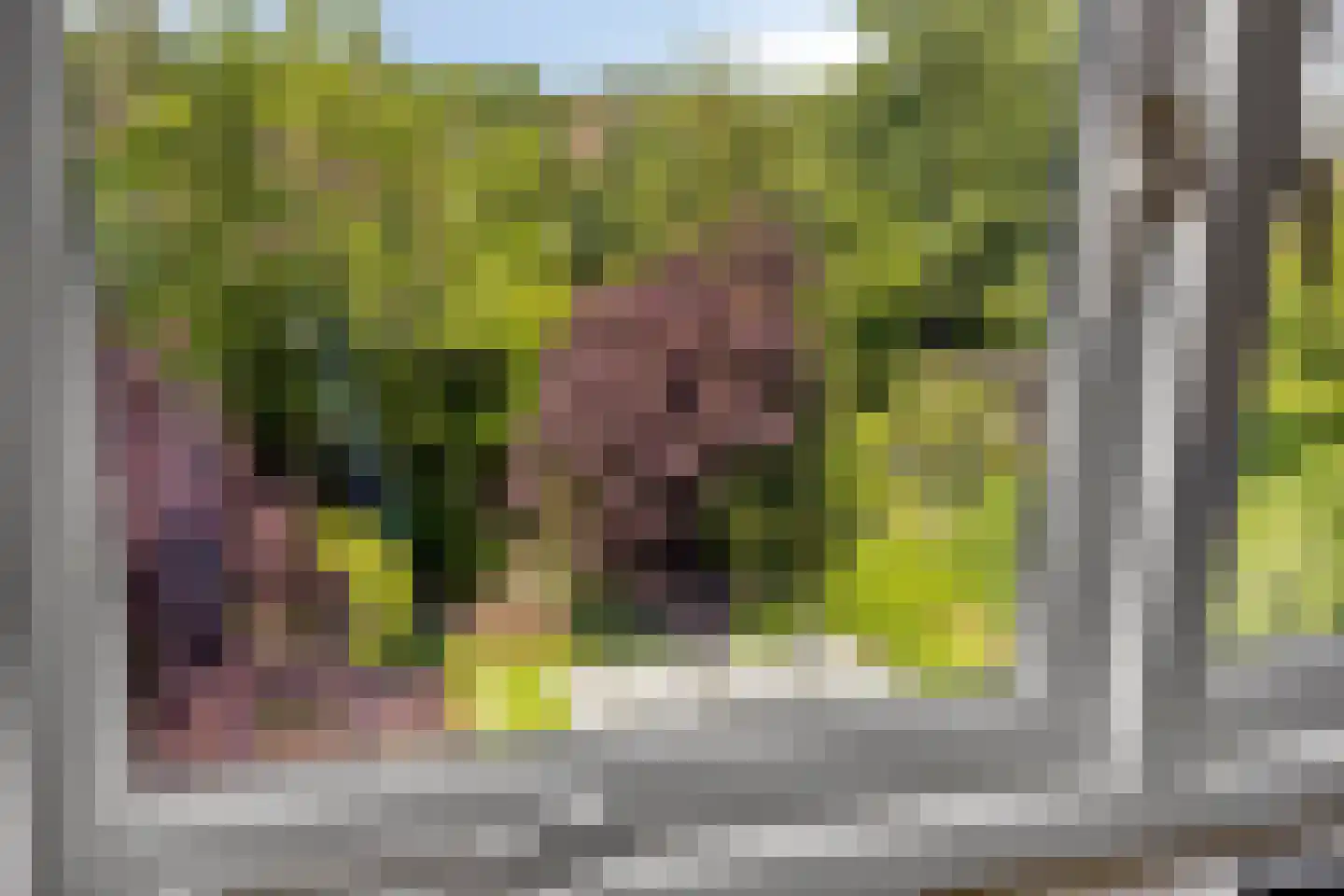 Hintham 140 Rosmalen thumbnail 55