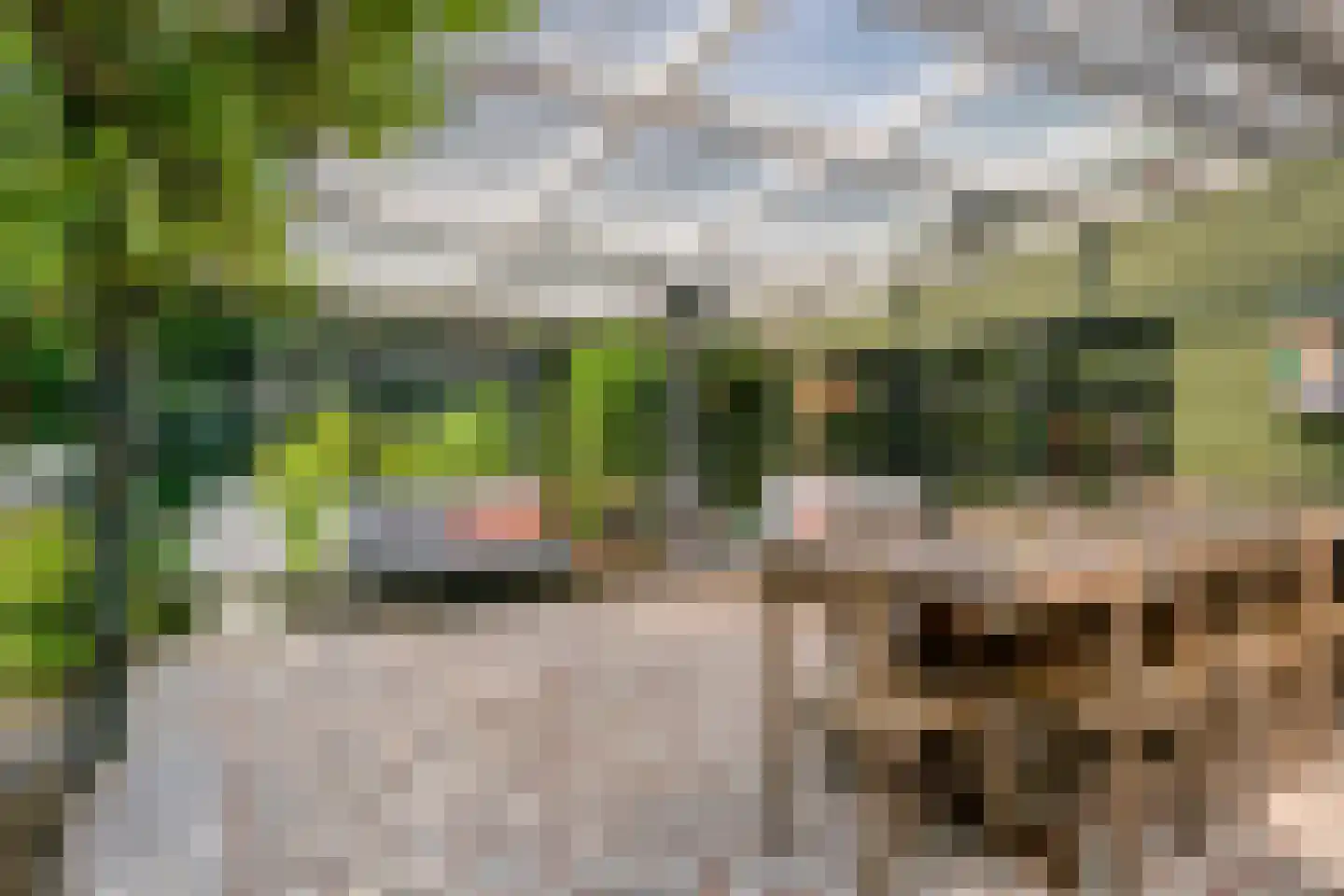Hintham 140 Rosmalen thumbnail 61