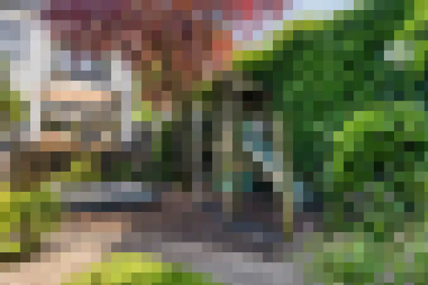 Hintham 140 Rosmalen thumbnail 63