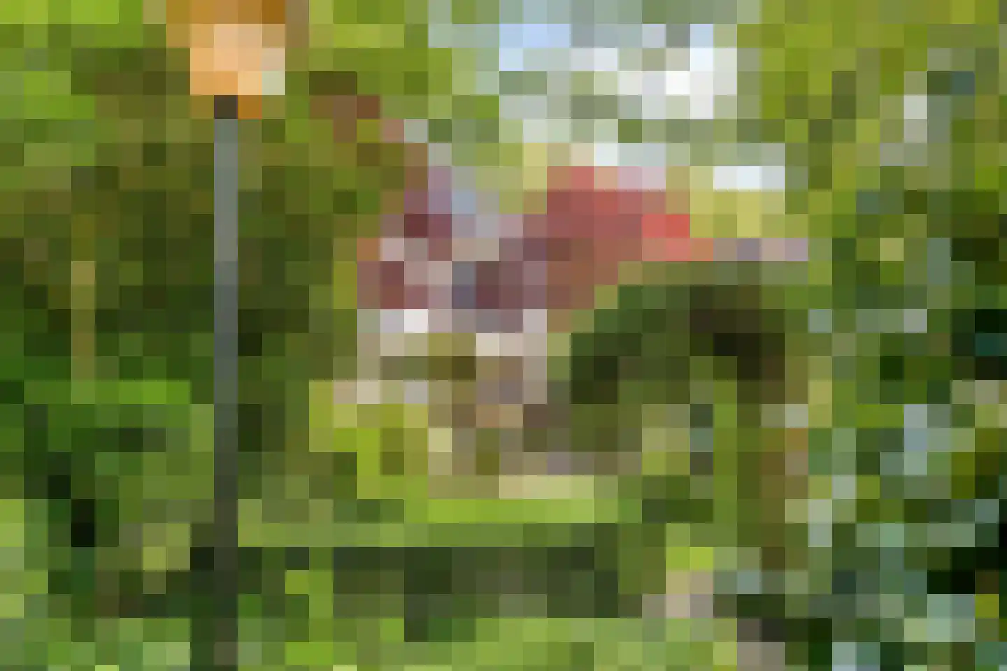 Hintham 140 Rosmalen thumbnail 65