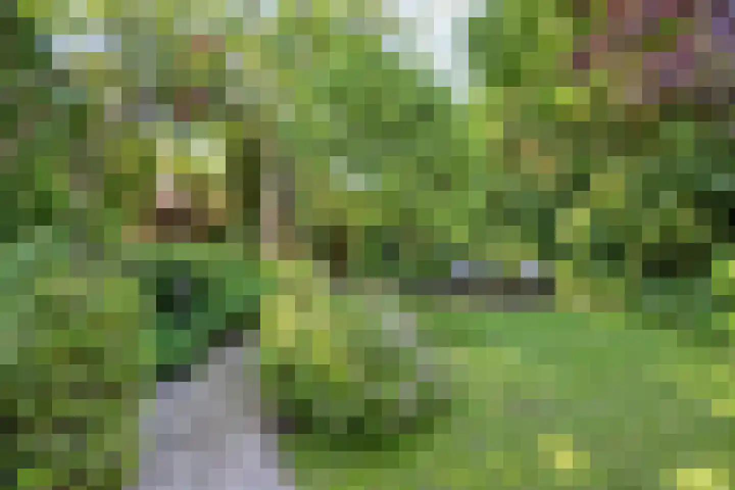 Hintham 140 Rosmalen thumbnail 66