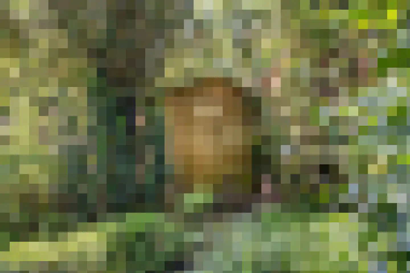 Hintham 140 Rosmalen thumbnail 69