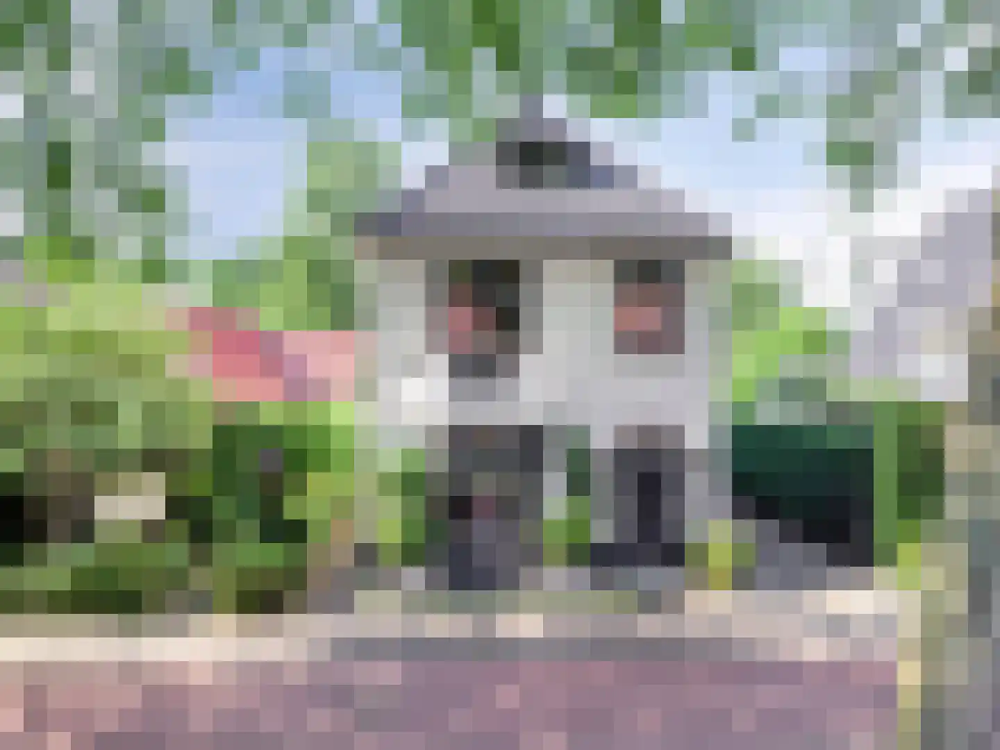 Hintham 140 Rosmalen thumbnail 74
