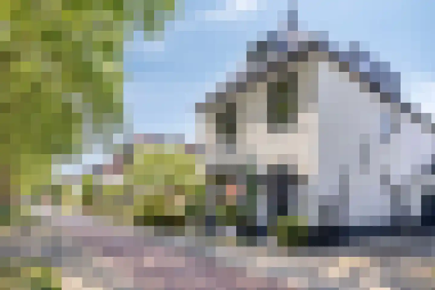 Hintham 140 Rosmalen thumbnail 75