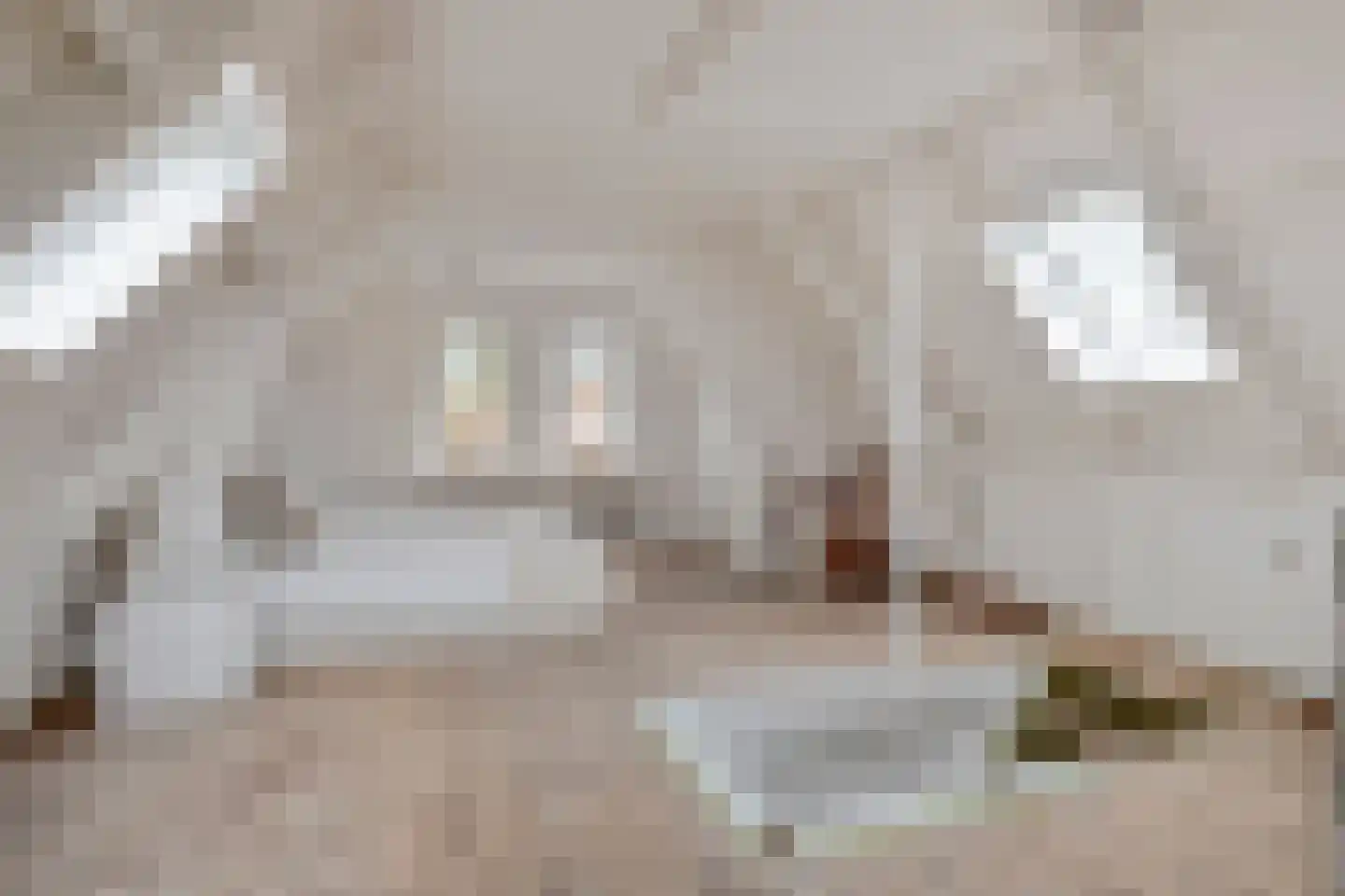 Hintham 148 Rosmalen thumbnail 25