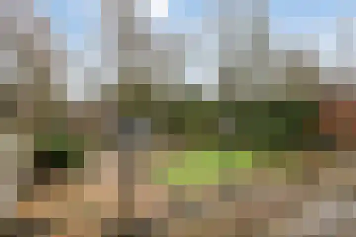 Hintham 148 Rosmalen thumbnail 27